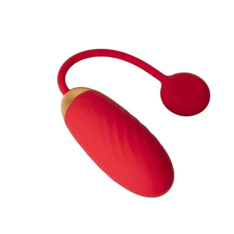 Egg Vibrator